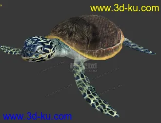 3D打印模型分享一海龟的图片