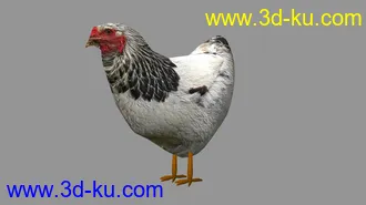 3D打印模型母鸡的图片