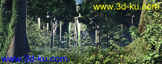 森林-热带雨林-原始森林-热带植物模型的图片3