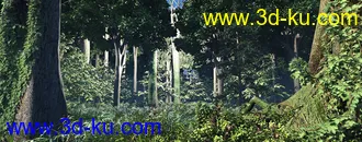 3D打印模型森林-热带雨林-原始森林-热带植物的图片