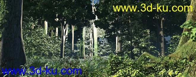 森林-热带雨林-原始森林-热带植物模型的图片4