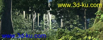 3D打印模型森林-热带雨林-原始森林-热带植物的图片