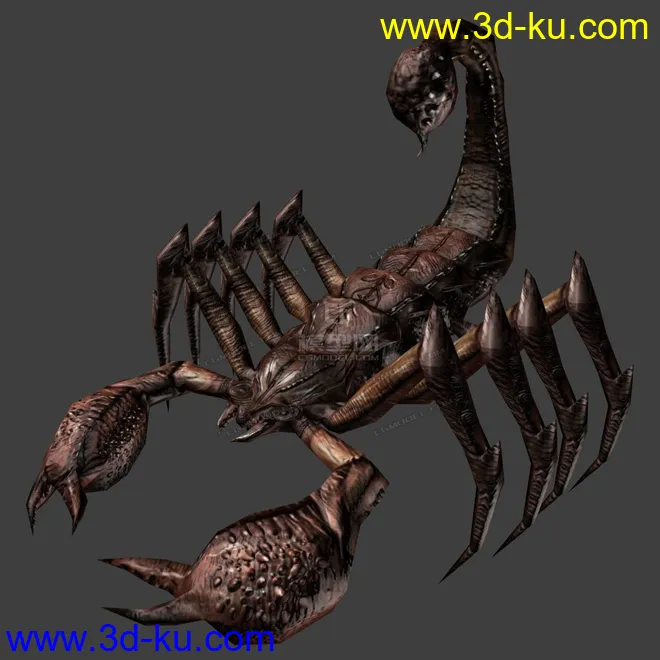写实蝎子，爬虫模型的图片1