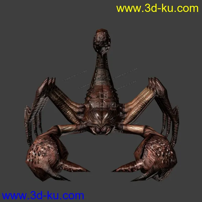 写实蝎子，爬虫模型的图片2