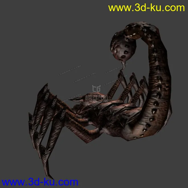 写实蝎子，爬虫模型的图片3