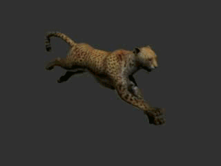 分享一只写实猎豹，豹子，带奔跑动画模型的图片1