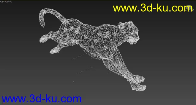 分享一只写实猎豹，豹子，带奔跑动画模型的图片3