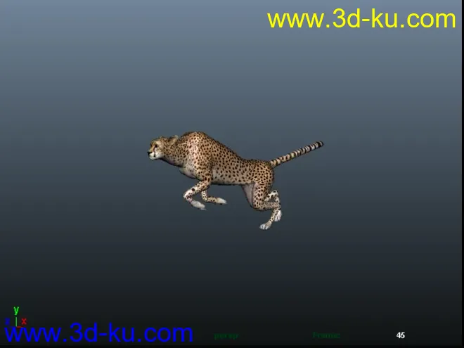 免费分享一个豹子，猎豹模型的图片3