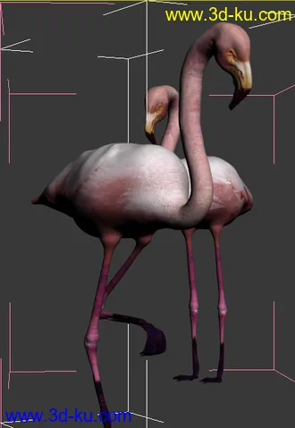 3D打印模型鸟-河边-鱼塘-湿地-火烈鸟的图片