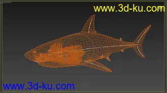 3D打印模型大白鲨 鲨鱼 有绑定有动画 鳃部能动 免费送你了的图片
