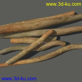 3D打印模型药材-白芍的图片