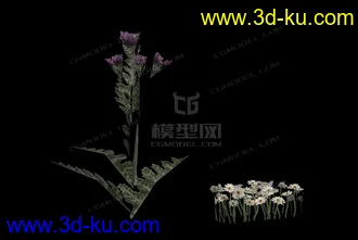 3D打印模型低模小菊花的图片