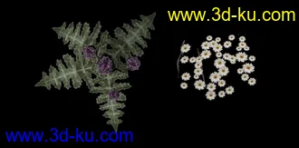 3D打印模型低模小菊花的图片