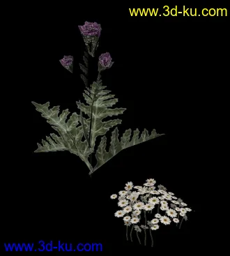 3D打印模型低模小菊花的图片