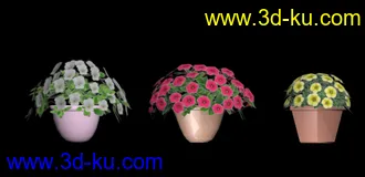 3D打印模型低模小盆栽的图片