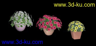 3D打印模型低模小盆栽的图片