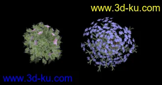 3D打印模型低模小架子的图片