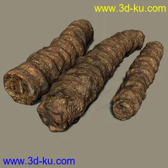 3D打印模型药材-羌活的图片