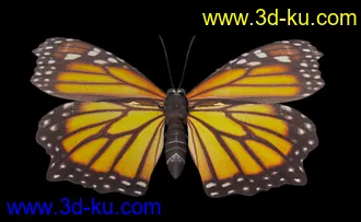 3D打印模型刚出炉的蝴蝶，大家快来看的图片
