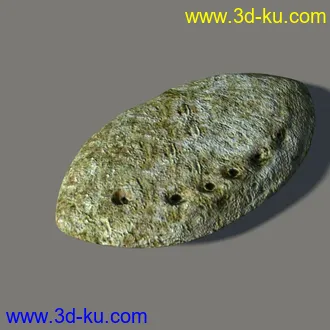 3D打印模型药材-石决明的图片