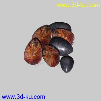 3D打印模型药材-土鳖虫的图片