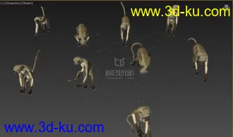 Free 动物调皮猴子 多姿势 绑定骨骼精准蒙皮 by:模型专业户的图片