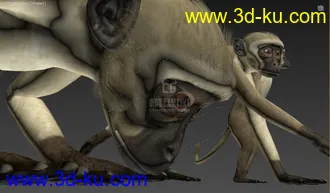 Free 动物调皮猴子 多姿势 绑定骨骼精准蒙皮 by:模型专业户的图片