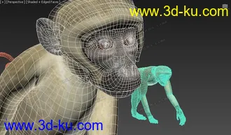 Free 动物调皮猴子 多姿势 绑定骨骼精准蒙皮 by:模型专业户的图片