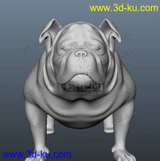 3D打印模型斗牛犬的图片