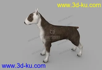 3D打印模型牛头梗的图片
