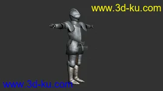 3D打印模型欧洲骑士，板甲，罐头骑士，盔甲男的图片