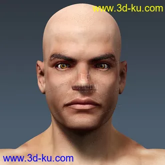 3D打印模型完整的人体器官   人体结构构造   人体   文件齐全的图片