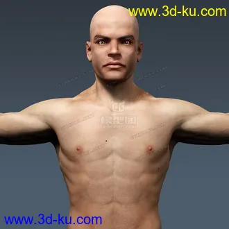 3D打印模型完整的人体器官   人体结构构造   人体   文件齐全的图片