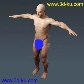 3D打印模型完整的人体器官   人体结构构造   人体   文件齐全的图片