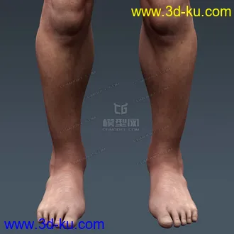 3D打印模型完整的人体器官   人体结构构造   人体   文件齐全的图片