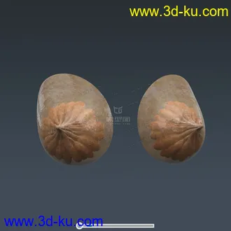 3D打印模型完整的人体器官   人体结构构造   人体   文件齐全的图片