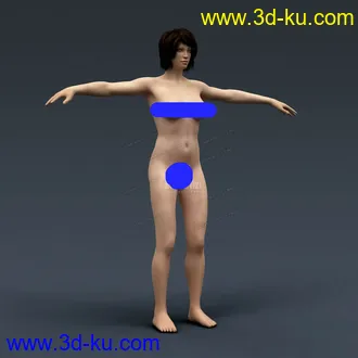 3D打印模型完整的人体器官   人体结构构造   人体   文件齐全的图片