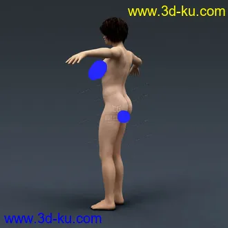 3D打印模型完整的人体器官   人体结构构造   人体   文件齐全的图片
