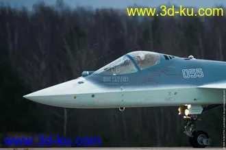 3D打印模型俄罗斯第四代战斗机 T-50的图片