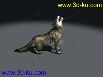 3D打印模型超写实的狼带动画可预览,雪狼,狼,草原狼,写实狼,狼狗的图片