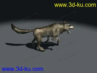 3D打印模型超写实的狼带动画可预览,雪狼,狼,草原狼,写实狼,狼狗的图片