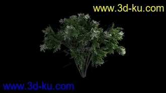 3D打印模型灌木 远景 小树 树丛的图片