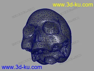 分享一个头骨模型的图片