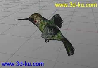 3D打印模型蜂鸟 hummingbird的图片
