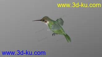 3D打印模型蜂鸟 hummingbird的图片