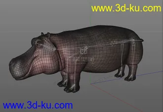 3D打印模型河马的图片