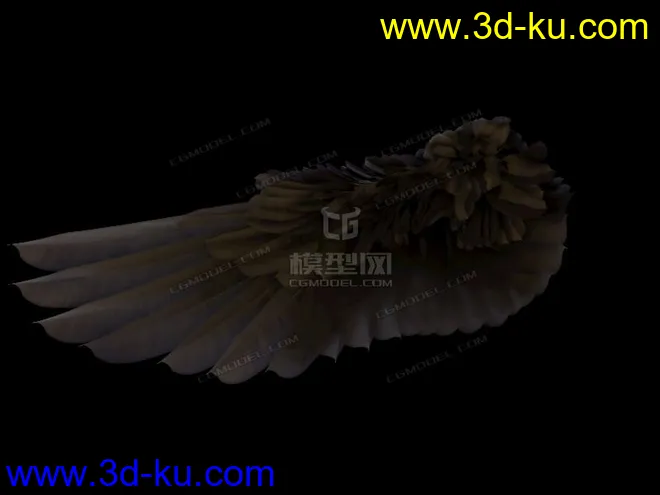 C4D 翅膀模型的图片1