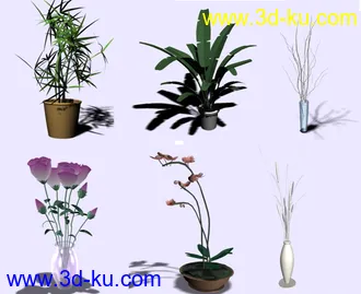 几个不错的花草模型的图片