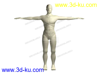 男人模型，四边面，已展开UV的图片