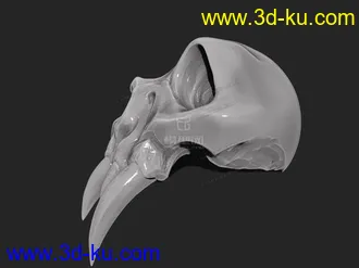3D打印模型Q版兽骨的图片